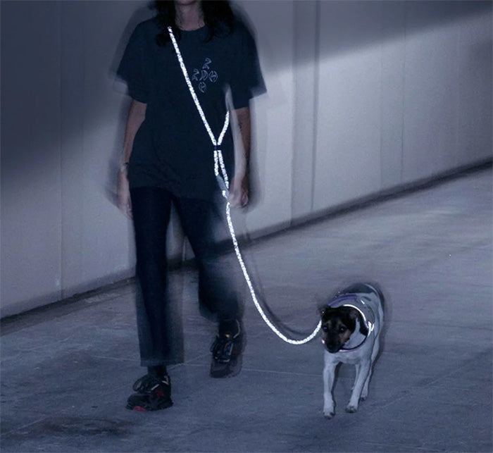 zeedog Hands-Free Leash NOX