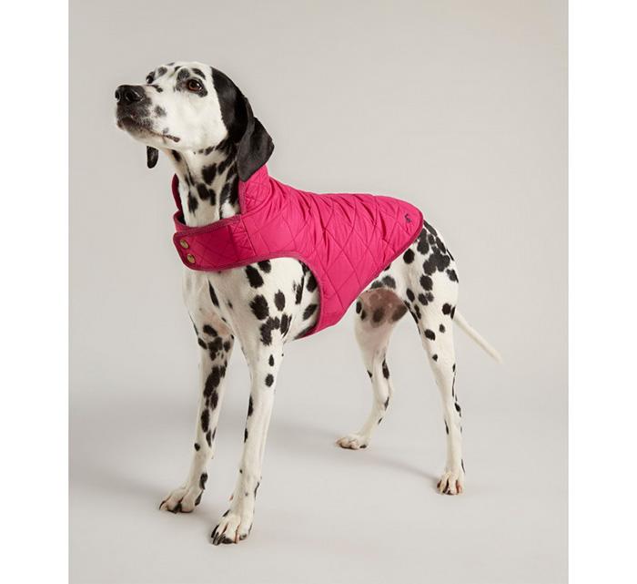 Husky Rosewood Joules Rosa dog