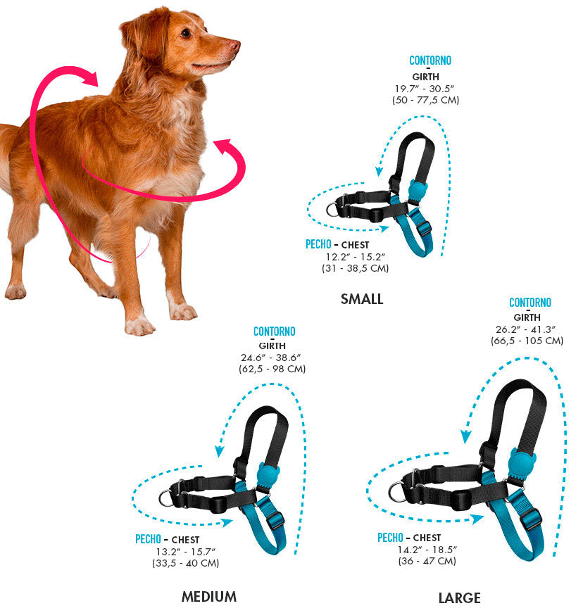Soft Walk Nautic Harness