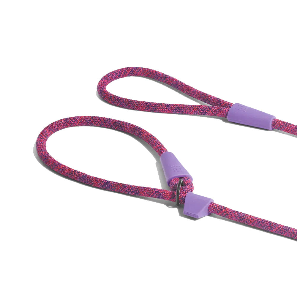 ZeeDog Cosmos Slip-On Leash