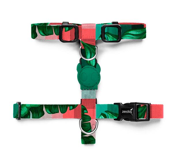 Zee.Dog Bali H Harness – BOXANIMAL.EU