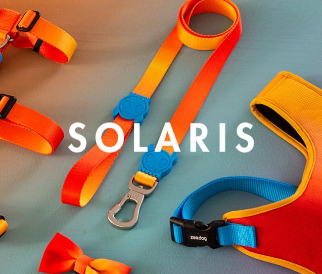 zeedog solaris collar correa leash