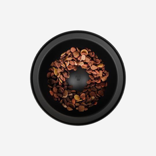 ZeeDog Bowl Burdeos regulable