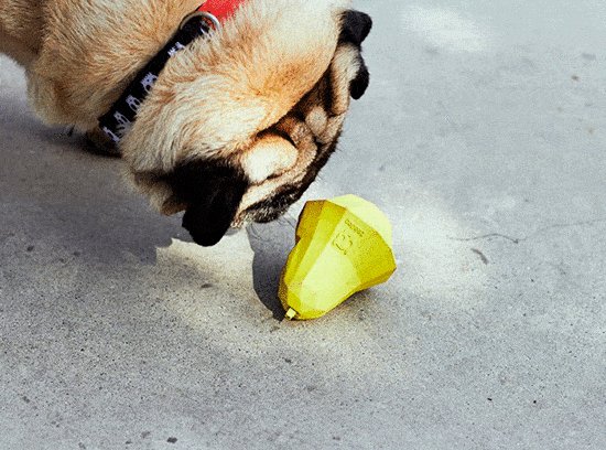 SUPER FRUITZ PEAR ZEEDOG