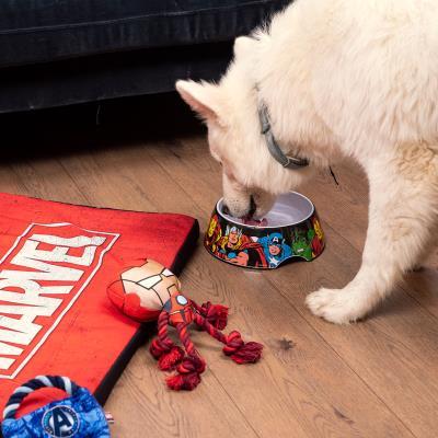 Marvel on sale dog accessories