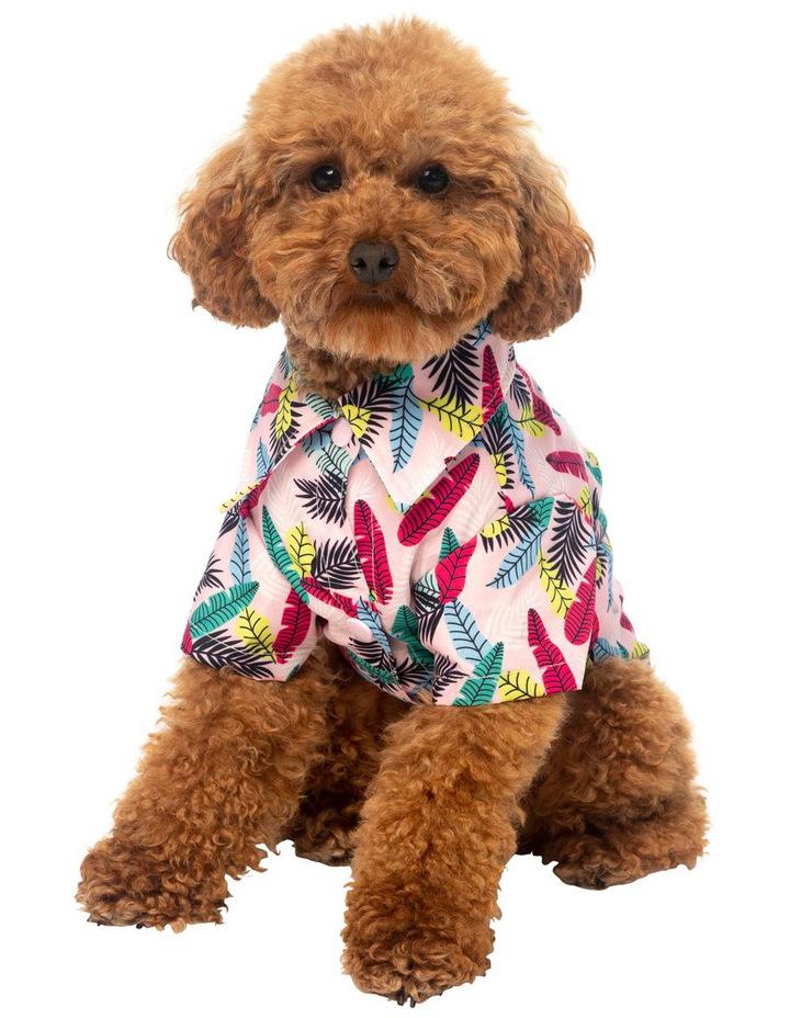 Fuzzyard Hawaiian Shirt camisa perro