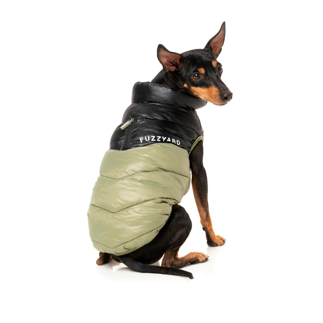 Fuzzyard Harlem Olive dog jacket