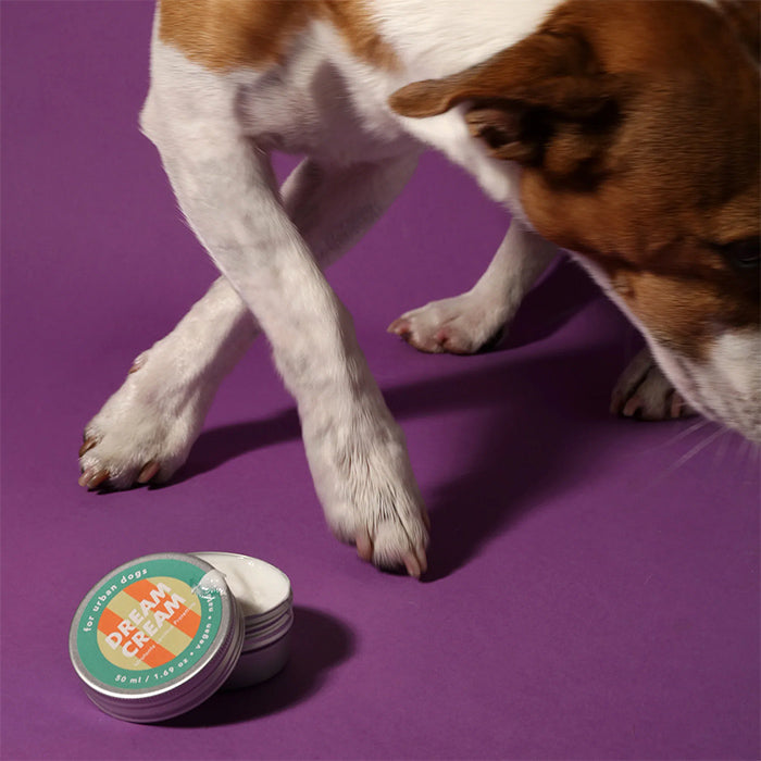 Jampy Paws Soothing Cream
