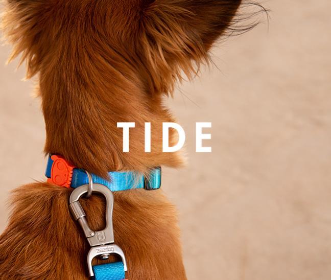 zeedog collar tide perro