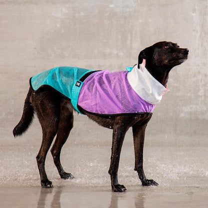 zeedog bel air raincoat chubasquero