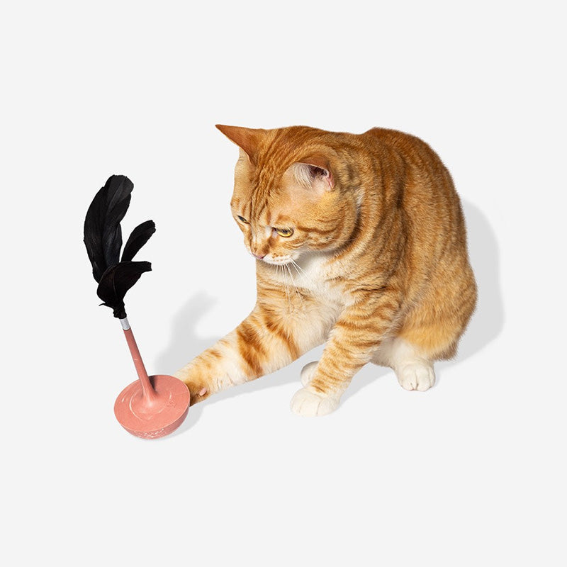 Zee.Cat Teaser Citrus
