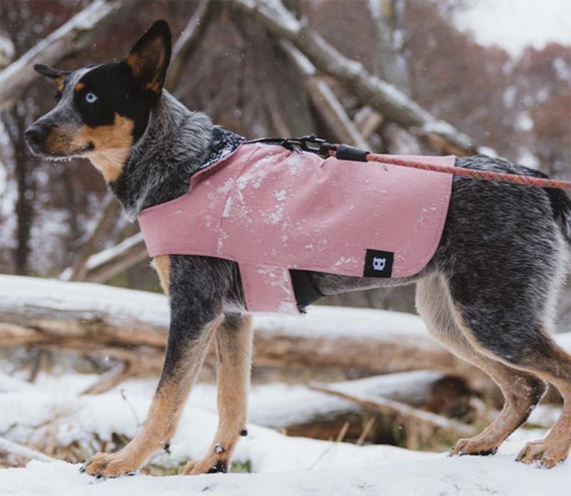 Zee.Dog Pink Coat abrigo