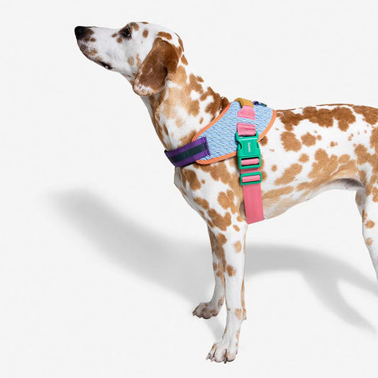 Mecanhor große Schaufel - in zwei Farben verfügbar - 4petsworld Online Pet  Shop