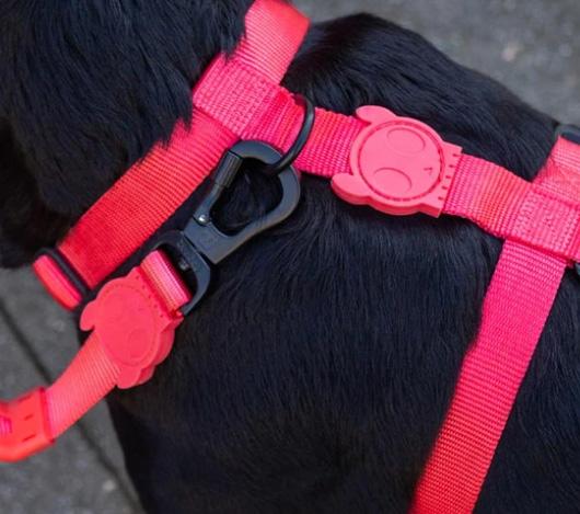 Zee.Dog Neon Coral Harness arnés perro